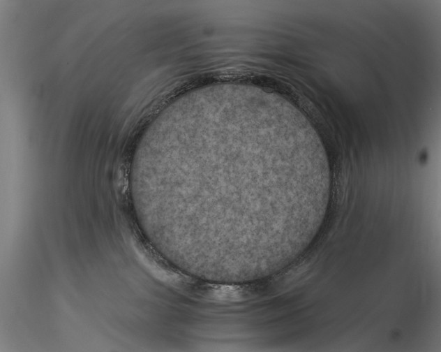 X0000116020091200912111402