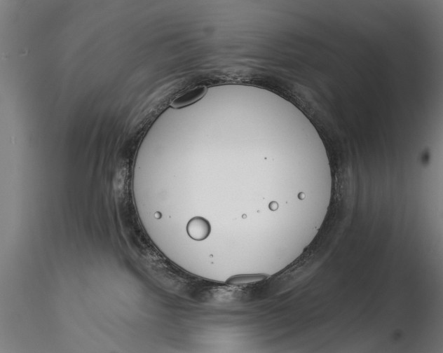 X0000116020092200912111402