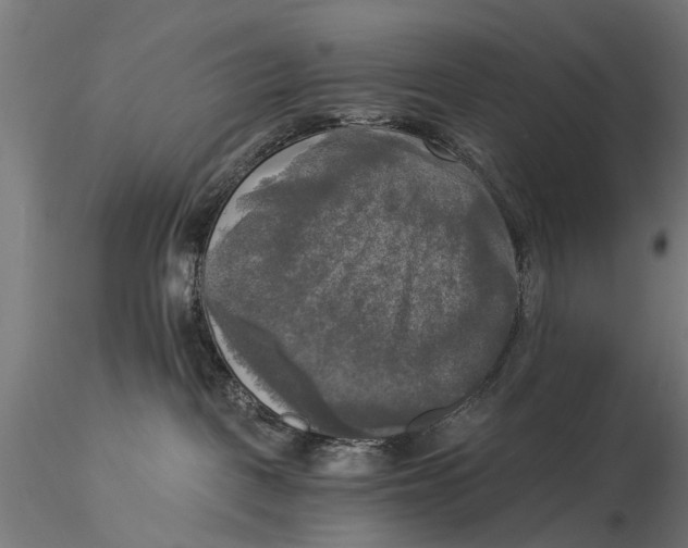 X0000116020093200912111402