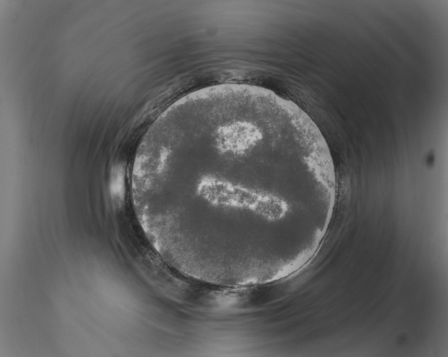 X0000116020094200912111402