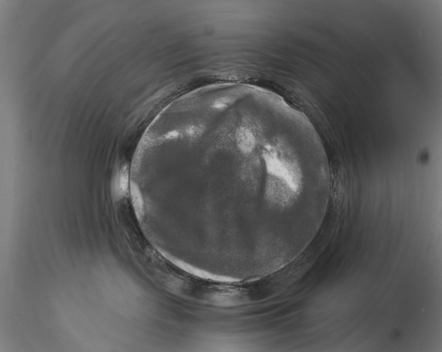 X0000116020095200912111402