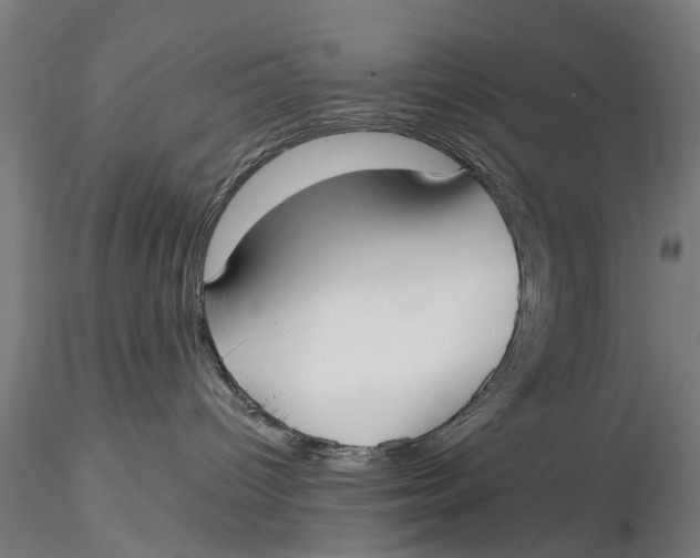 X0000116020096200912111402