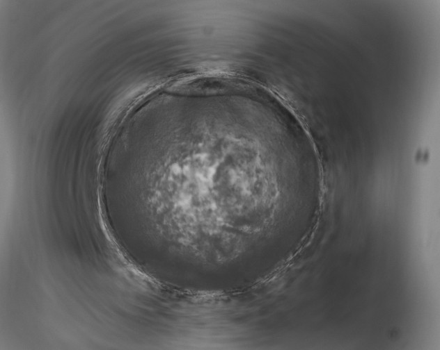 X0000116020097200912111402