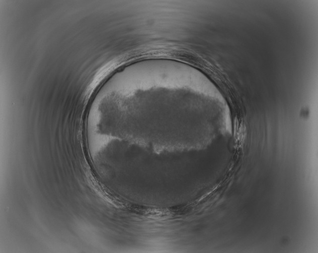 X0000116020099200912111401