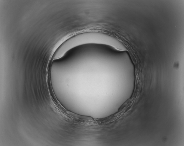 X0000116020100200912111401