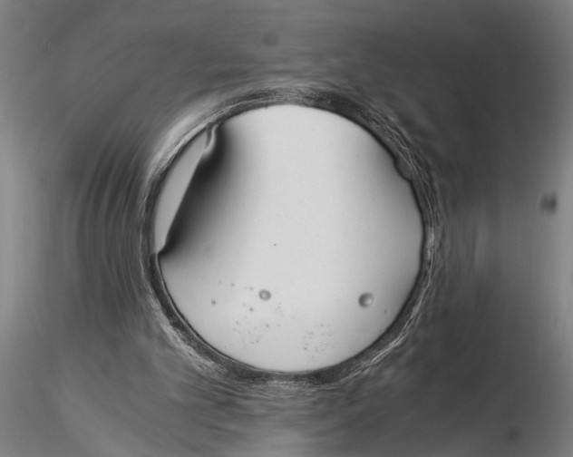 X0000116020101200912111401