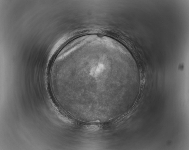 X0000116020102200912111401