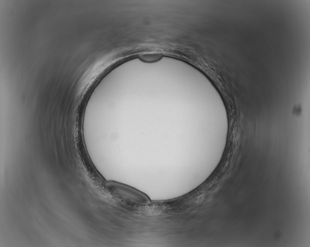 X0000116020103200912111401