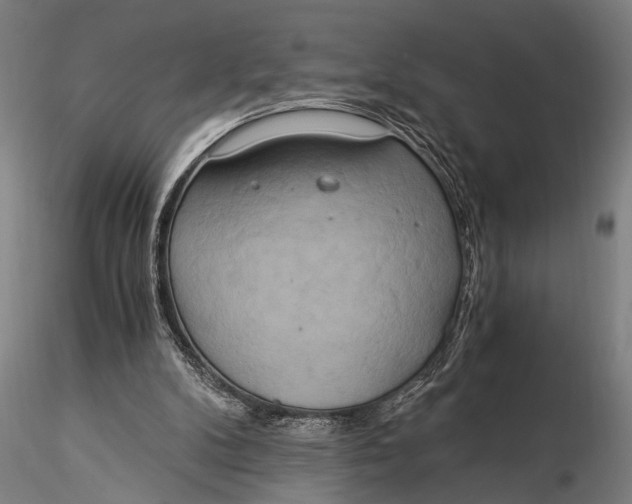 X0000116020104200912111401