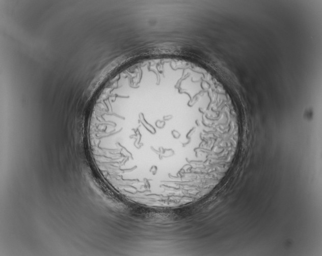 X0000116020107200912111401