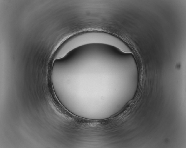 X0000116020108200912111401