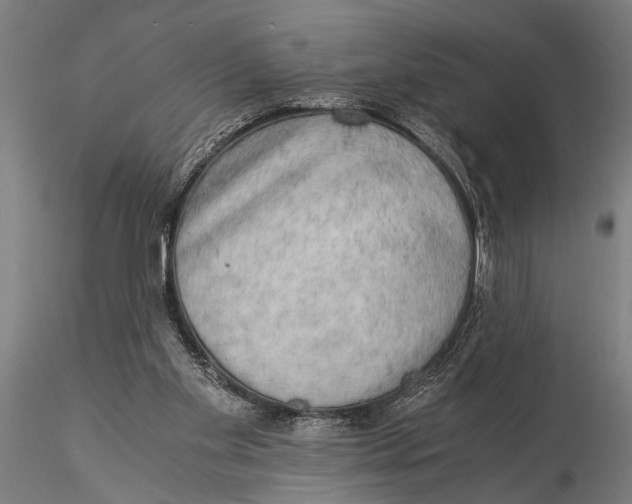 X0000116020109200912111401