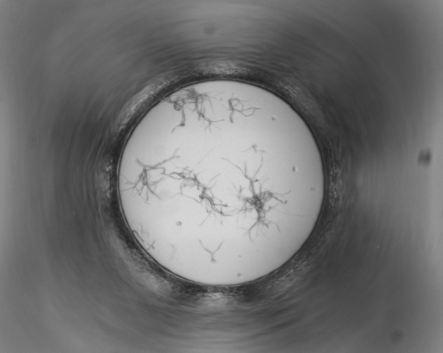 X0000116020111200912111401