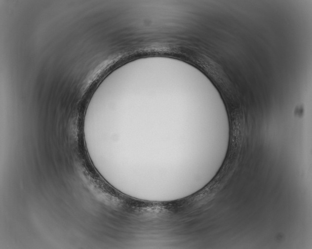 X0000116020112200912111401