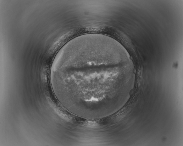 X0000116020114200912111401