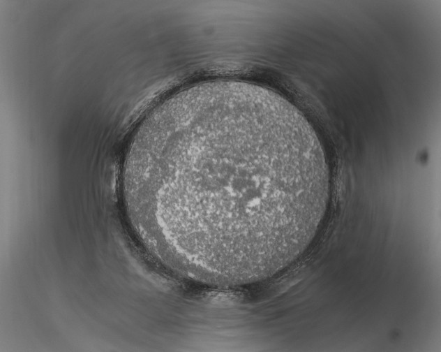 X0000116020115200912111401