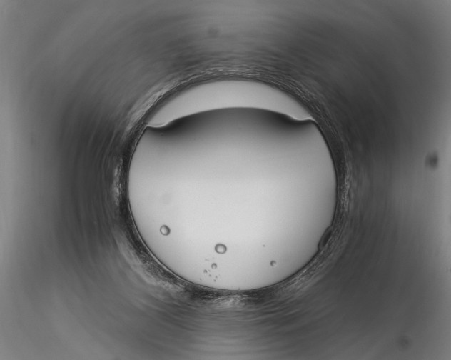 X0000116020116200912111401