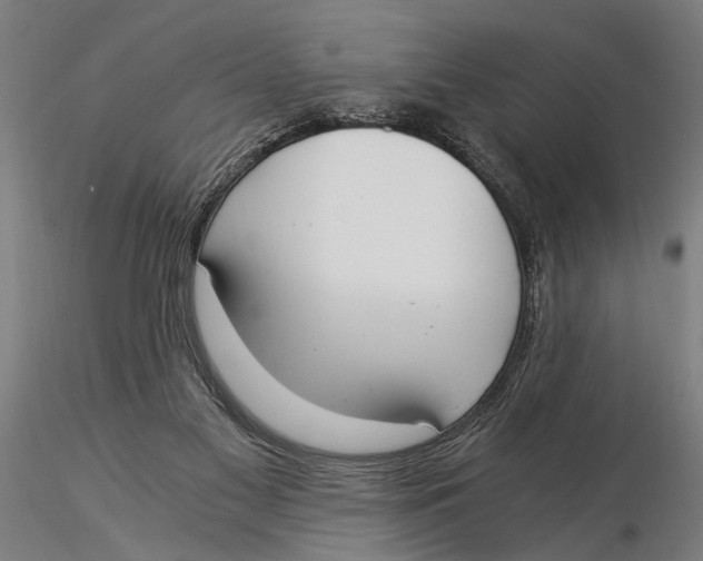 X0000116020117200912111401