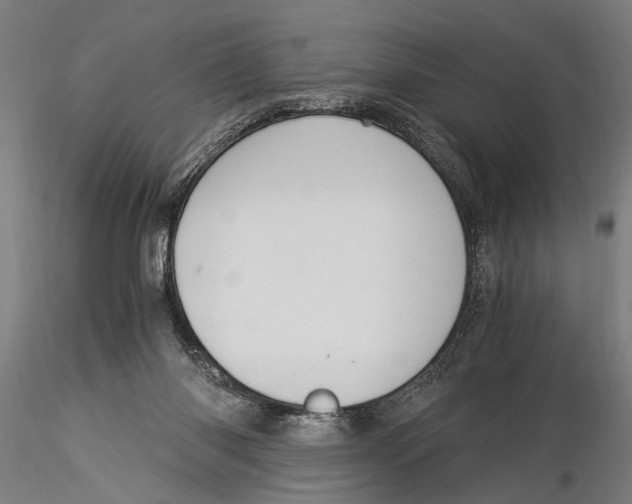 X0000116020118200912111401