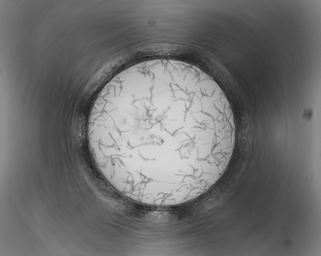 X0000116020119200912111401