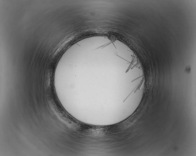 X0000116020120200912111401