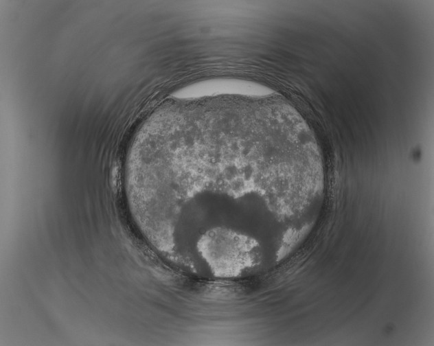 X0000116020123200912111401