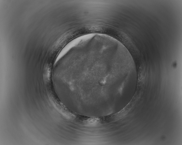 X0000116020124200912111401