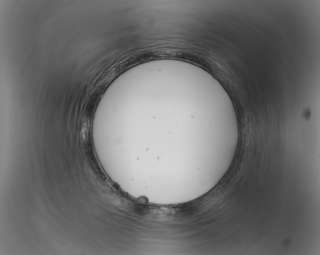 X0000116020125200912111401