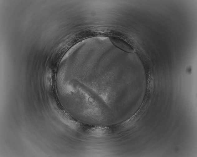 X0000116020128200912111401