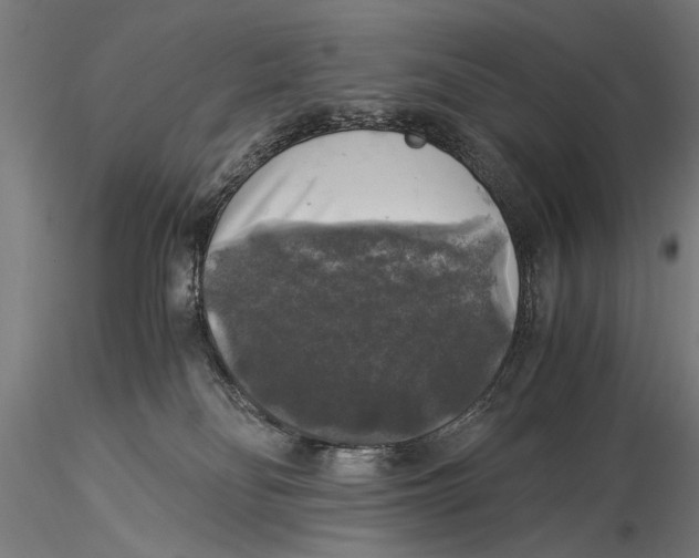 X0000116020134200912111401