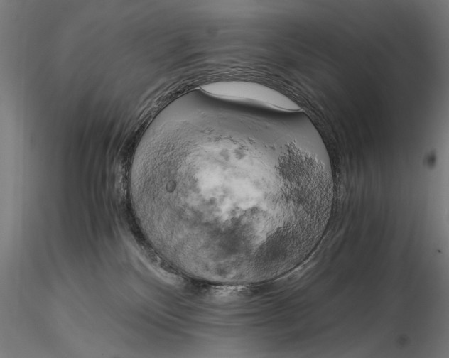 X0000116020136200912111401