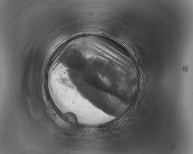 X0000116020145200912111400