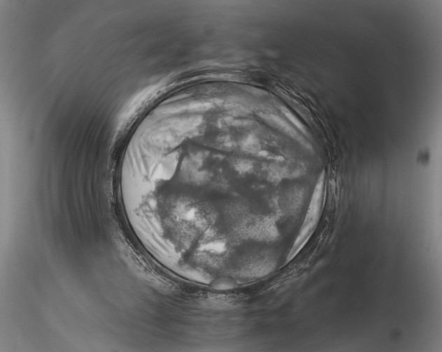 X0000116020149200912111400