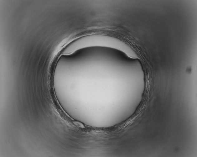 X0000116020150200912111400