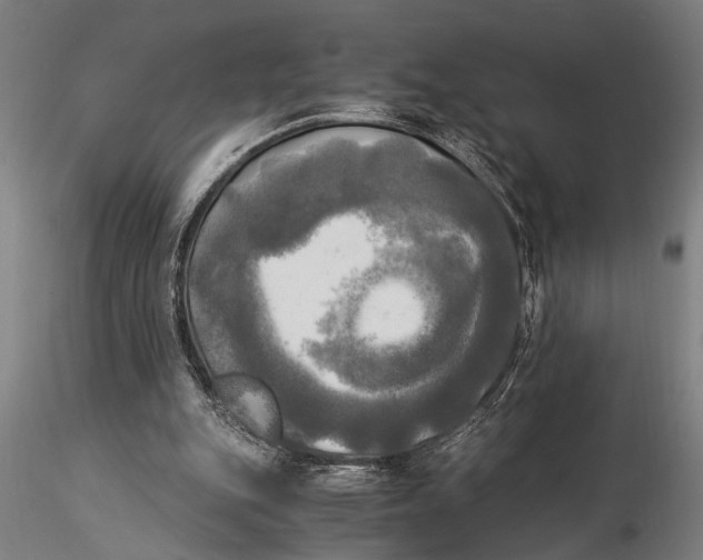 X0000116020151200912111400