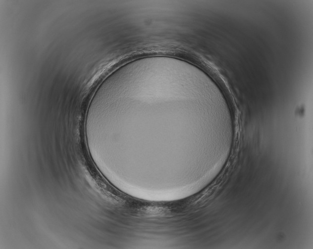 X0000116020154200912111400