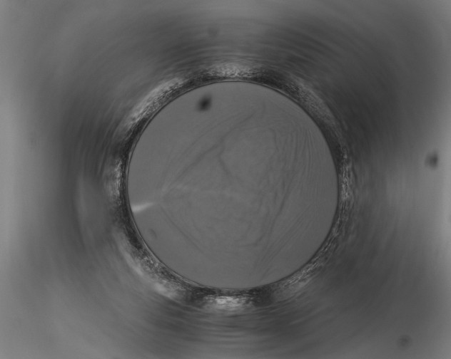 X0000116020163200912111400