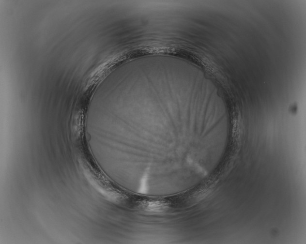 X0000116020165200912111400