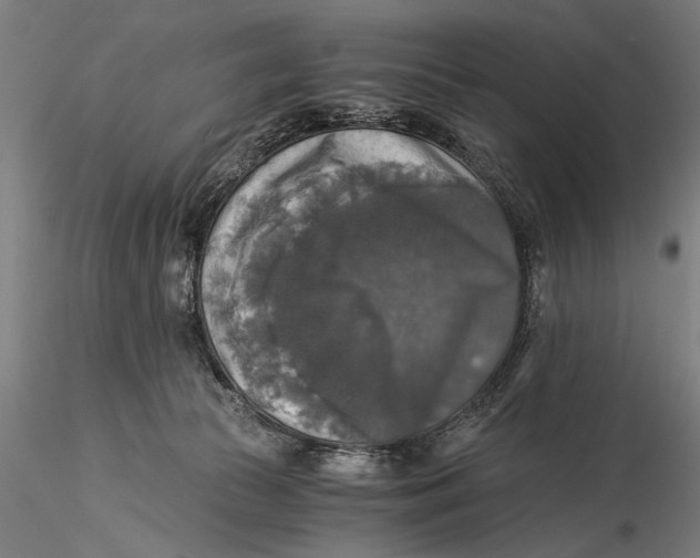 X0000116020177200912111400