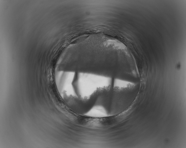 X0000116020182200912111400