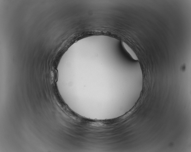 X0000116020183200912111400