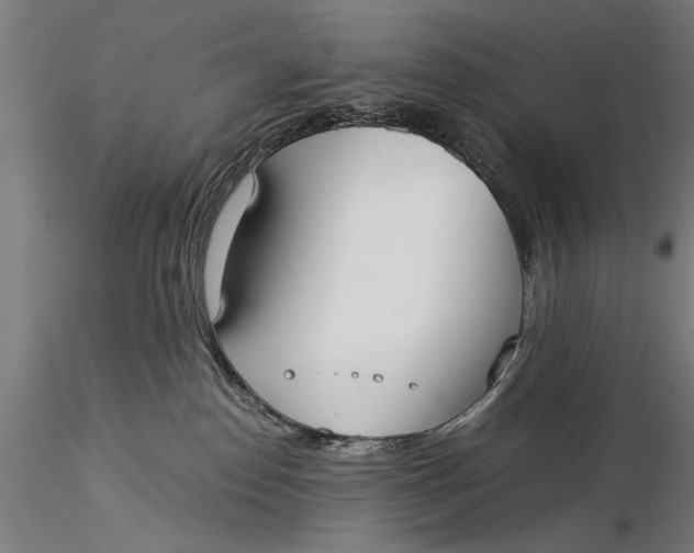 X0000116020186200912111401