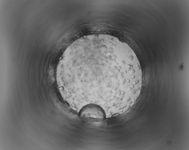 X0000116020187200912111401