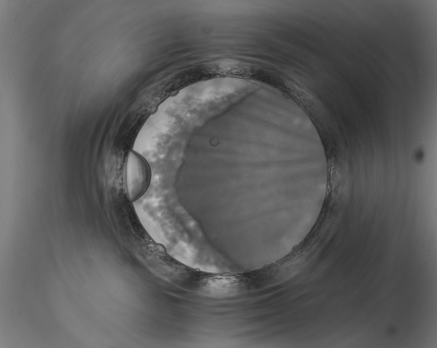 X0000116020189200912111401