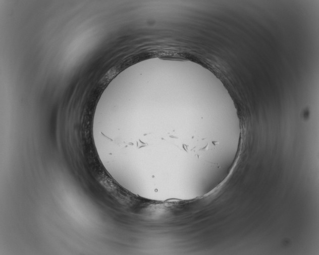 X0000116020190200912111401