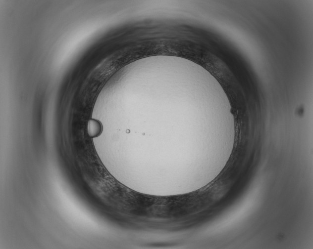 X0000116020191200912111401