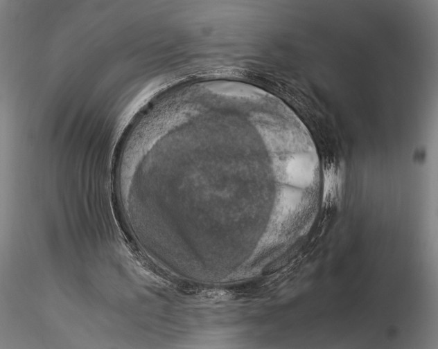 X0000116020195200912111400