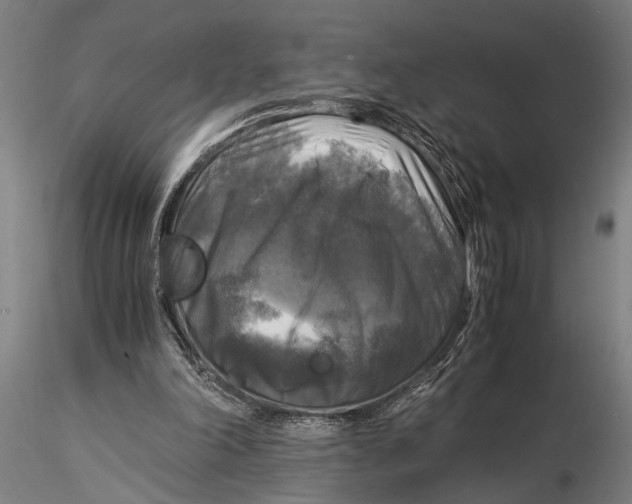 X0000116020198200912111400