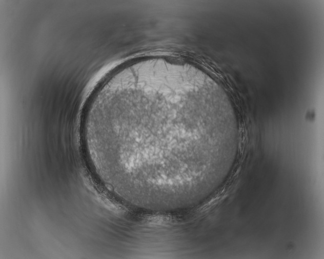 X0000116020200200912111400