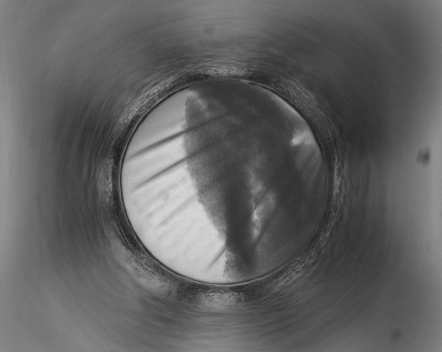 X0000116020202200912111400